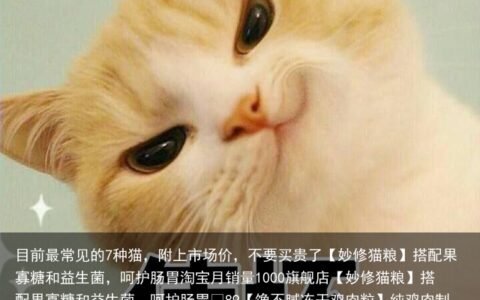 目前最常见的7种猫，附上市场价，不要买贵了