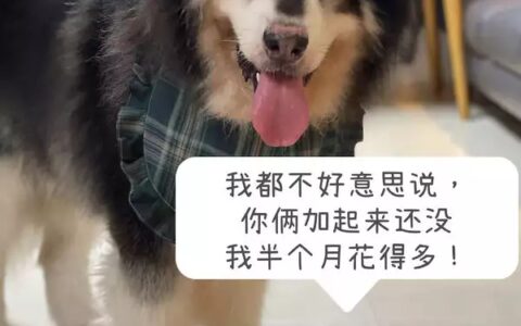 养宠要花多少钱？中等收入养宠家庭每月真实开销