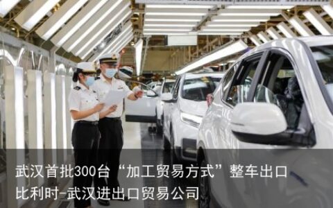 武汉首批300台“加工贸易方式”整车出口比利时-武汉进出口贸易公司