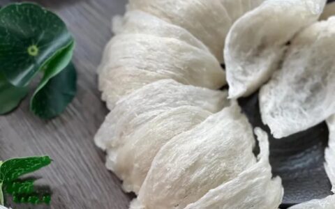 燕窝多少钱一斤？-印尼燕窝多少钱一斤