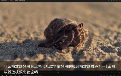 什么播放器好用最流畅（几款非常好用的视频播放器推荐）-什么播放器放视频比较流畅