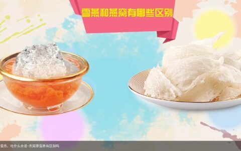 燕窝VS雪燕，吃什么合适-燕窝跟雪燕有区别吗