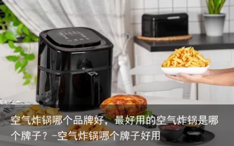 空气炸锅哪个品牌好，最好用的空气炸锅是哪个牌子？-空气炸锅哪个牌子好用