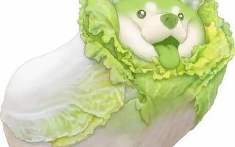 卷心菜是什么意思网络用语-卷心菜啥意思?