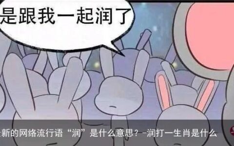 最新的网络流行语“润”是什么意思？-润打一生肖是什么