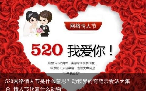 520网络情人节是什么意思？动物界的奇葩示爱法大集合-情人节代表什么动物