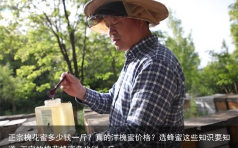 正宗槐花蜜多少钱一斤？真的洋槐蜜价格？选蜂蜜这些知识要知道-正宗的槐花蜂蜜多少钱一斤