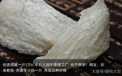 优质燕窝一斤2万6!年轻人却宁愿进工厂,也不想学! 网友: 你来教我-燕窝多少钱一斤 燕窝品种价格