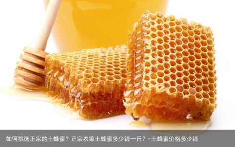 如何挑选正宗的土蜂蜜？正宗农家土蜂蜜多少钱一斤？-土蜂蜜价格多少钱