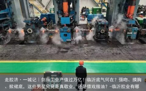 走胶济·一城记｜剑指工业产值过万亿！临沂底气何在？