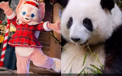 从卡通人物代言染发剂说说：为什么我们总是染不出包装上的颜色？-卡通人物色彩简笔画