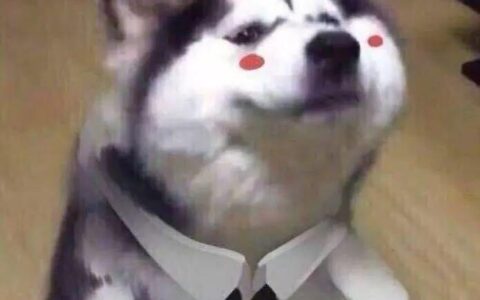 双11你准备好剁手了吗？-双11你准备好剁手了吗什么意思