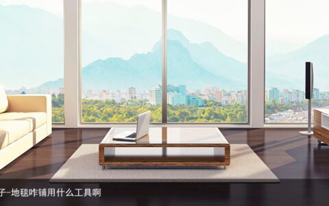 地毯增稠剂有哪些牌子-地毯咋铺用什么工具啊