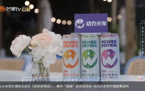 动力火车苏打酒冠名综艺《乐队的海边》，携手“浪姐”合伙玩创业-动力火车苏打酒是毒品吗