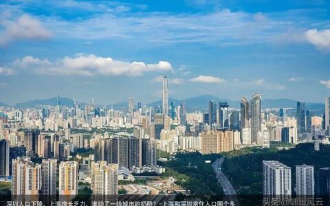 深圳人口下降，上海增长乏力，谁动了一线城市的奶酪？-上海和深圳常住人口哪个多
