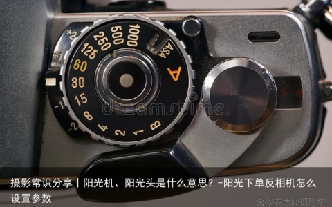 摄影常识分享丨阳光机、阳光头是什么意思？-阳光下单反相机怎么设置参数