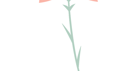 小学英语名师总结顺口溜，朗朗上口，超级好用！-小学英文顺口溜大全100首