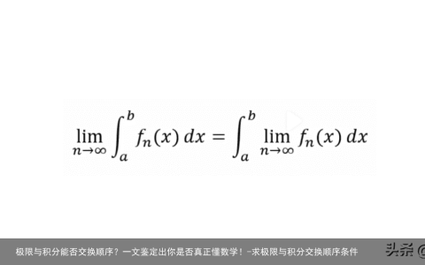 极限与积分能否交换顺序？一文鉴定出你是否真正懂数学！
