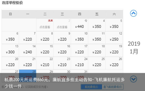 机票200元托运费860元，廉航宜多些主动告知-飞机廉航托运多少钱一件