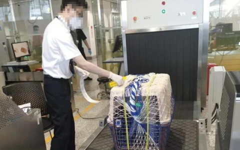 飞机宠物托运怎么收费-坐飞机宠物托运要多少钱