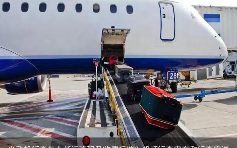 坐飞机行李怎么托运流程及收费标准？机场行李寄存和行李寄送方法-飞机行李托运程序