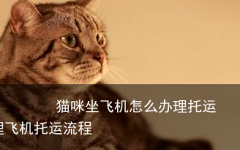 猫咪坐飞机怎么办理托运？-猫咪办理飞机托运流程