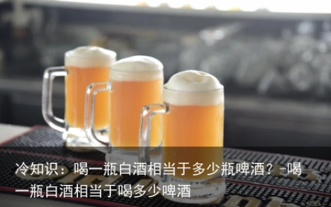 冷知识：喝一瓶白酒相当于多少瓶啤酒？-喝一瓶白酒相当于喝多少啤酒
