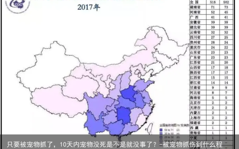 只要被宠物抓了，10天内宠物没死是不是就没事了？-被宠物抓伤到什么程度要打针