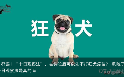 「辟谣」“十日观察法”，被狗咬后可以先不打狂犬疫苗？-狗咬了十日观察法是真的吗