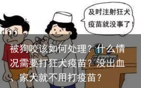被狗咬该如何处理？什么情况需要打狂犬疫苗？没出血、家犬就不用打疫苗？
