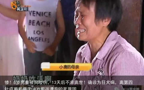 惨！6岁男童被狗咬伤，13天后不幸离世！确诊为狂犬病，离第四针疫苗差两天-8岁男孩遭狗咬死原因