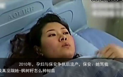 2010年，孕妇与保安争执后流产，保安：她骂我看门狗，我真没踹她