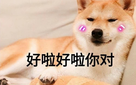 哪一瞬间你觉得自家的狗没白养？看完后，我泪崩了