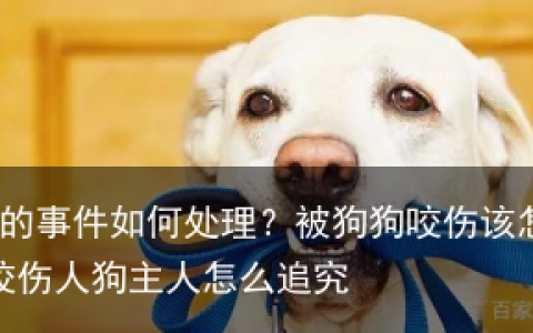狗伤人的事件如何处理？被狗狗咬伤该怎么办？-狗咬伤人狗主人怎么追究