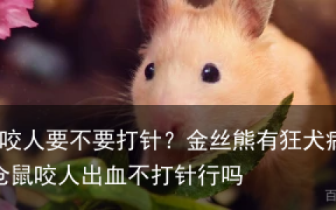 金丝熊咬人要不要打针？金丝熊有狂犬病吗？-家养仓鼠咬人出血不打针行吗