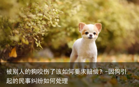 被别人的狗咬伤了该如何要求赔偿？-因狗引起的民事纠纷如何处理
