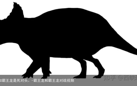 恐龙科普——它和霸王龙是死对头。-霸王龙和霸王龙对战视频