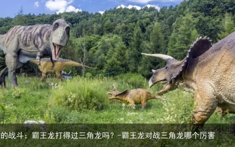 遥远的战斗：霸王龙打得过三角龙吗？-霸王龙对战三角龙哪个厉害