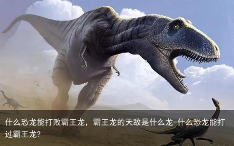 什么恐龙能打败霸王龙，霸王龙的天敌是什么龙-什么恐龙能打过霸王龙?