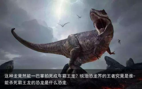 这种龙竟然能一巴掌拍死成年霸王龙？统治恐龙界的王者究竟是谁-能杀死霸王龙的恐龙是什么恐龙
