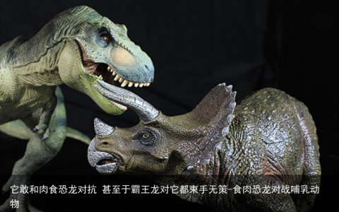 它敢和肉食恐龙对抗 甚至于霸王龙对它都束手无策-食肉恐龙对战哺乳动物