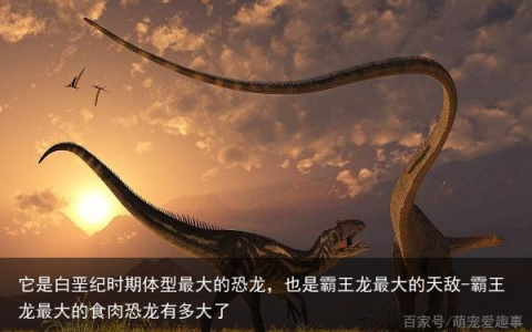 它是白垩纪时期体型最大的恐龙，也是霸王龙最大的天敌-霸王龙最大的食肉恐龙有多大了