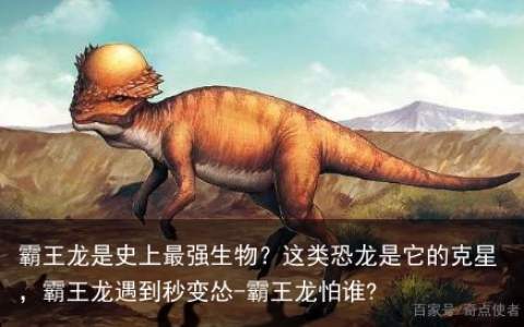 霸王龙是史上最强生物？这类恐龙是它的克星，霸王龙遇到秒变怂-霸王龙怕谁?