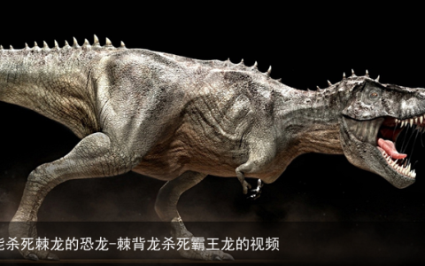 能杀死棘龙的恐龙-棘背龙杀死霸王龙的视频