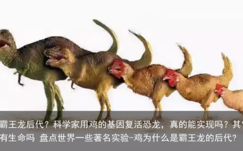 鸡是霸王龙后代？科学家用鸡的基因复活恐龙，真的能实现吗？其它星球上有生命吗 盘点世界一些著名实验-鸡为什么是霸王龙的后代?