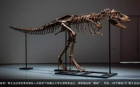 全球首例！霸王龙近亲的骨架被私人买家拍下收藏女大学生请假条走红，请假理由很“硬核”，导员：3天不够给7天-霸王龙远亲