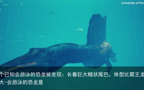 首个已知会游泳的恐龙被发现：长着巨大鳍状尾巴，体型比霸王龙还要大-会游泳的恐龙是