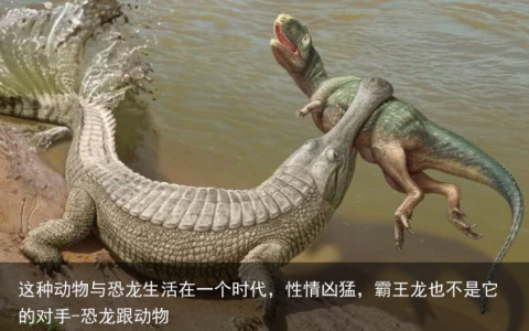 这种动物与恐龙生活在一个时代，性情凶猛，霸王龙也不是它的对手-恐龙跟动物