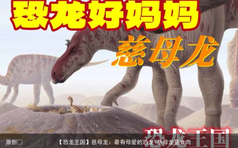 慈母龙：最有母爱的恐龙-慈母龙是食肉恐龙还是食草恐龙