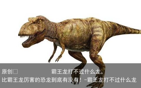 霸王龙打不过什么龙，比霸王龙厉害的恐龙到底有没有！-霸王龙打不过什么龙